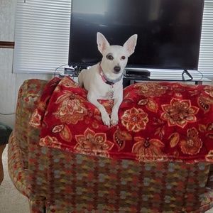 Meet your Posher, Sheryl